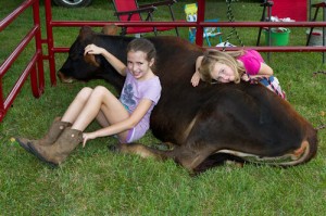 4-H kids Lily and Ellie with a yearling Jersey heifer at Ag Awareness Day
