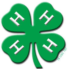 Cover photo for 4-H Volunteer Roles & Descriptions