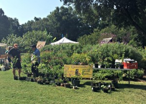 native plant festival