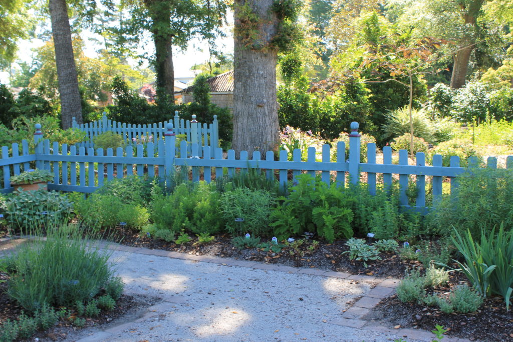 herb garden