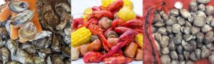 Cover photo for 2018 Cultured Seafood Festival, March 9 in New Bern
