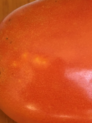 tomato w leaffooted bug feeding damage