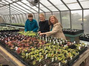 people working in a greenhouse