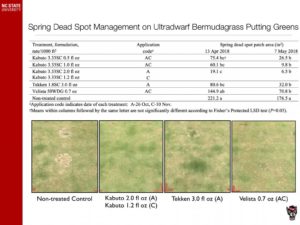 Spring Dead Spot Management