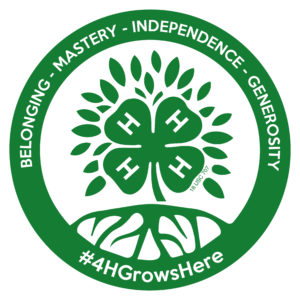 4-H Grows Here badge