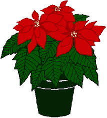 Cover photo for 2019 Annual Poinsettia Sale