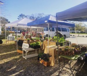 farmers market stand