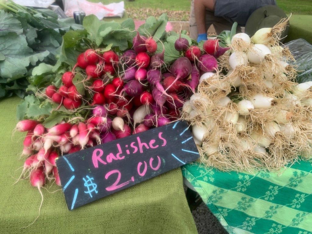 spring radishes