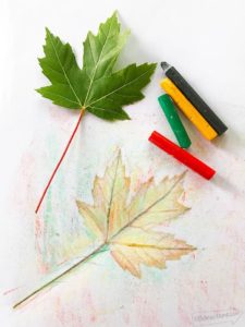Leaf craft supplies