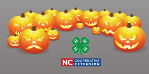 Cover photo for A NEW Look for Pumpkin-Palooza 2020