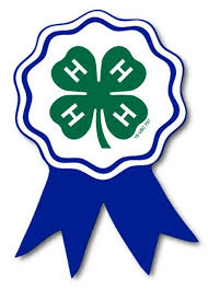 Cover photo for WINNERS Announced: 4-H Pumpkin-Palooza Photo Contest