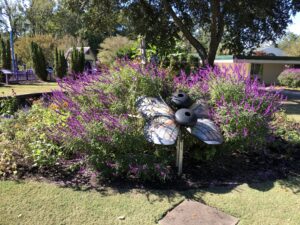 Flowers in garden