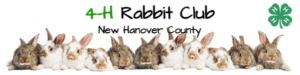 Cover photo for NEW CLUB: 4-H Rabbit Club