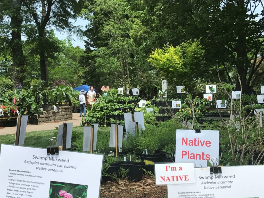 plant sale arrangement
