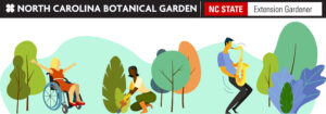 Logo Therapeutic Horticulture