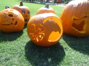 Cover photo for Pumpkins, 4-H Fun, and So Much More