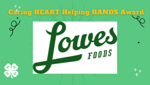 Logo of Lowes Foods in words