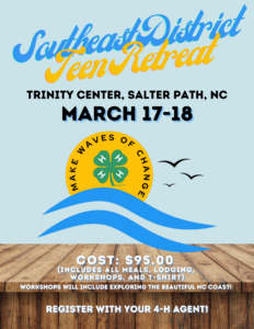 Cover photo for REGISTER for SED 4-H TEEN RETREAT 2023