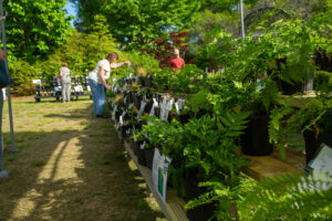 Cover photo for Extension Master Gardener Volunteer Association Plant Sale: April 10th - 13th, 2025