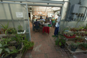 Young adults living with disabilities working in greenhouse