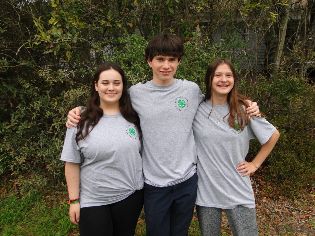 4 H Teens Attend SED 4 H Retreat N.C. Cooperative Extension