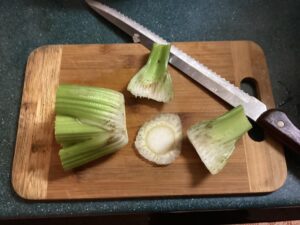 How to prep celery to re-sprout