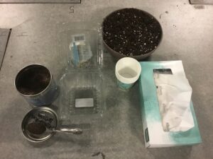 Supplies for microgreen clamshell activity, soil, paper cups, tissues, seeds