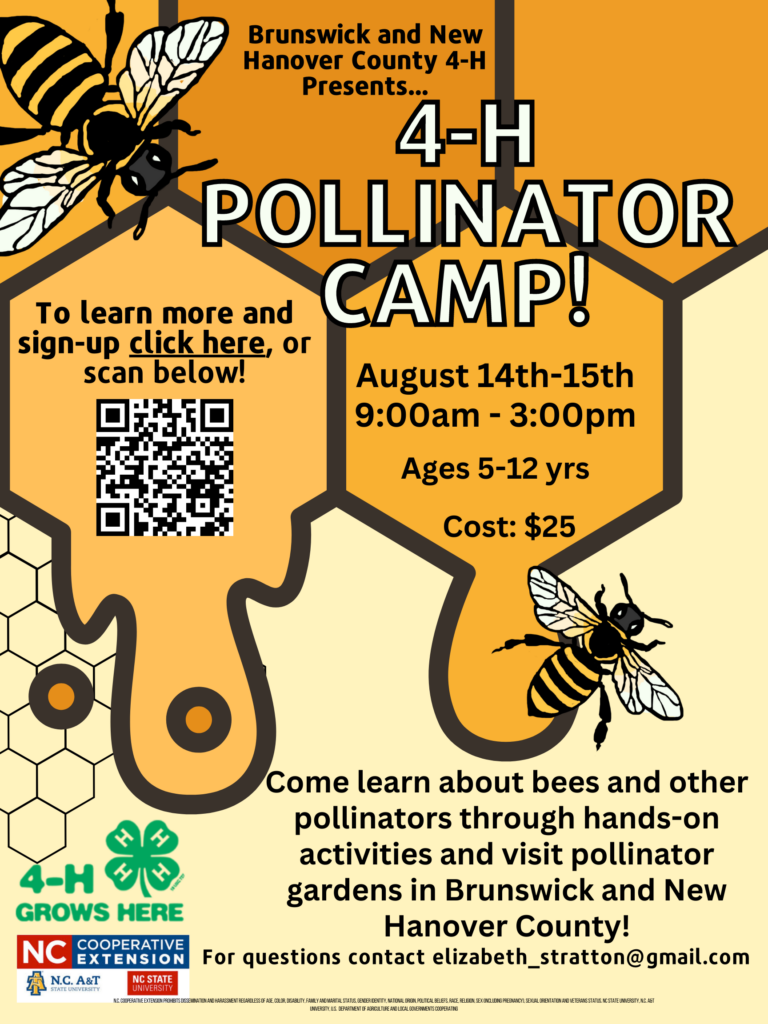 Flyer for 4-H Pollinator Camp