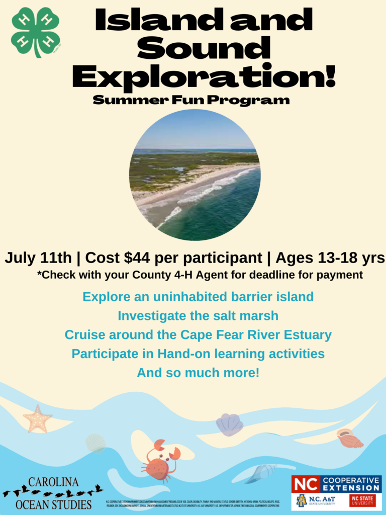 Island and Sound Exploration Flyer