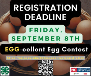 Cover photo for 2023 4-H EGG-Cellent Egg Contest
