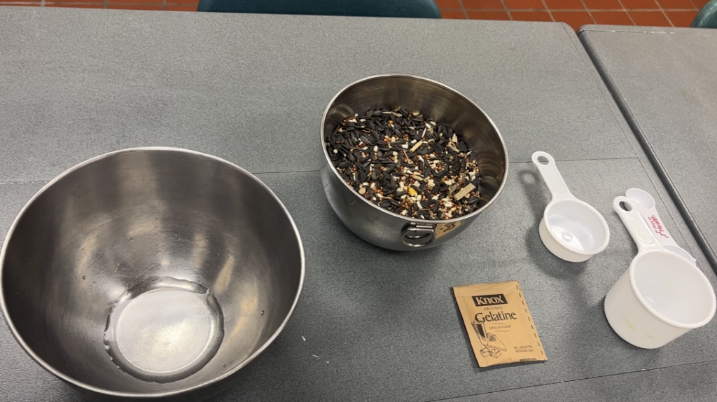 Gelatin, water, measuring cups, and bird seed ingredients layed out