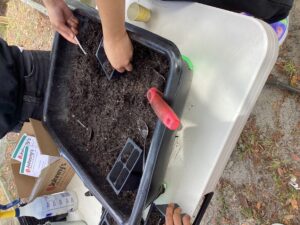 Tabletop gardening with seeds in school garden