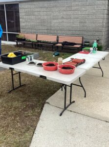 Tabletop potting station setup by sidewalk for accessibility.