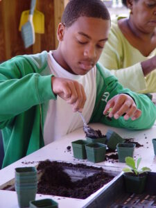 Youth tabletop gardening at the New Hanover County Arboretum
