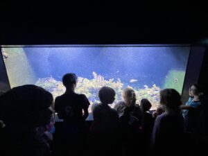 Youth looking at aquarium