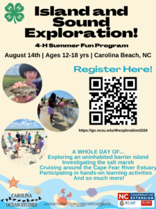 4-H Island and Sound Flyer