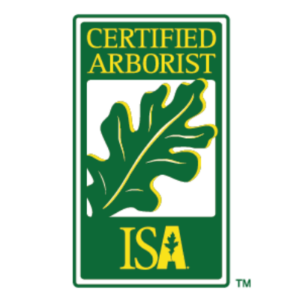 Certified Arborist Logo with green oak leaf