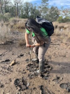 young woman taking soil samples from mud flat