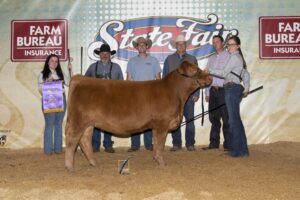 Cover photo for Livestock Judging Contest at Locust Hill Cattle