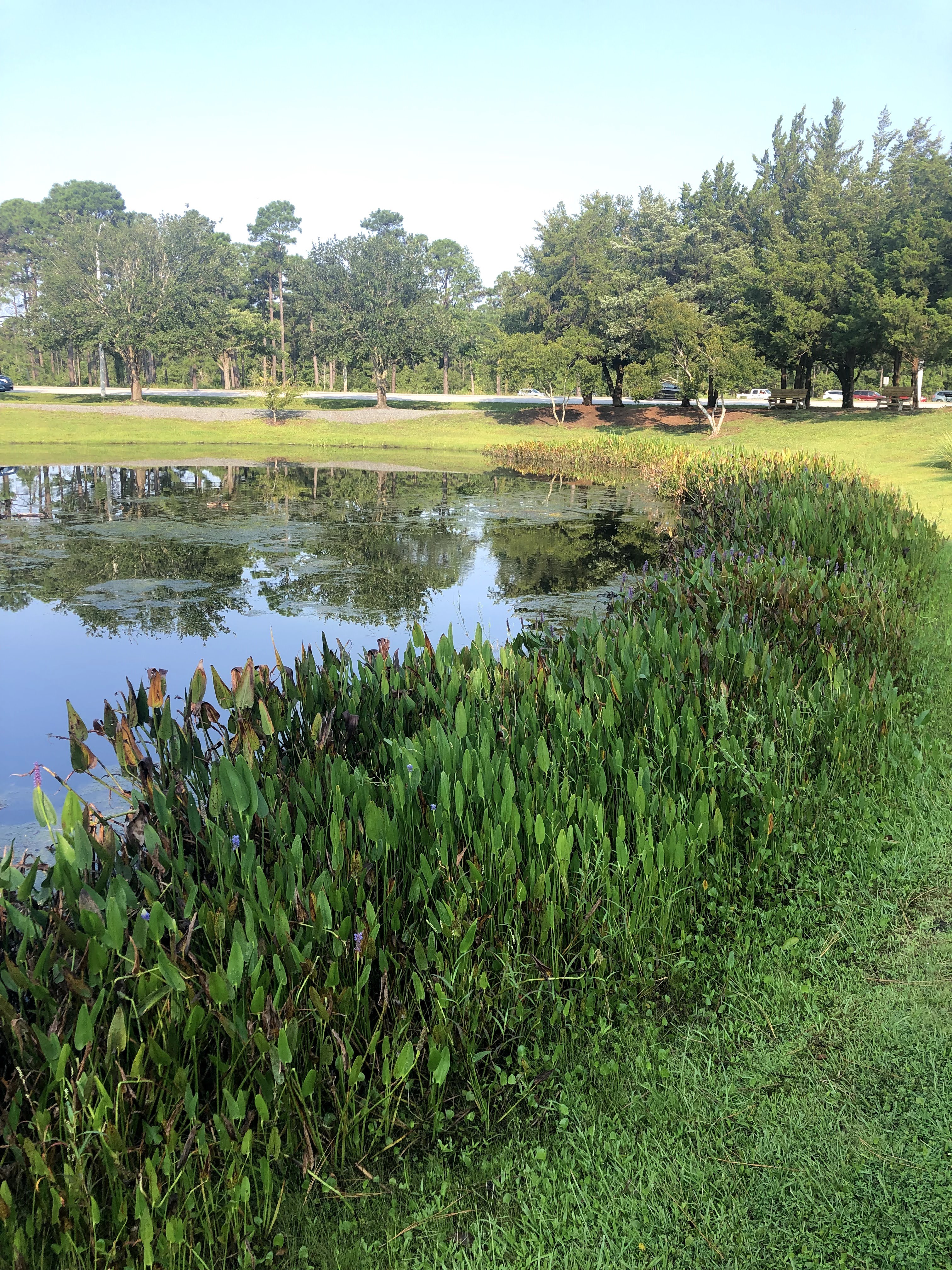Water Quality & PFAS