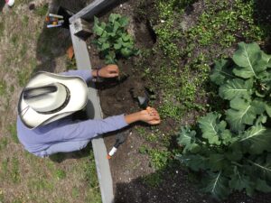 Child Working in Garden
