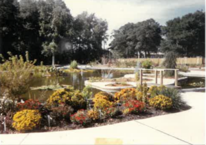 Arboretum Pond in 1980s
