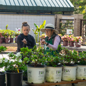 Master Gardener assisting resident with azaleas