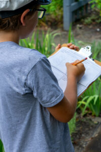 Child drawing in a field journal
