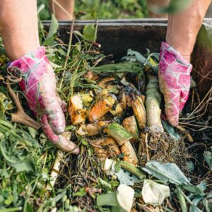 Gardener placing scraps from gardening into at-home compost bin