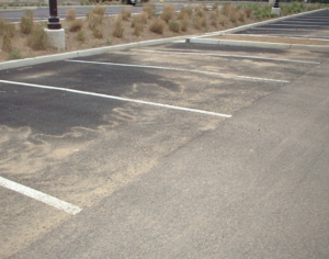 Example of permeable pavement partially clogged by sediment and pollen, as shown by puddle line (Photo courtesy of Bill Hunt)