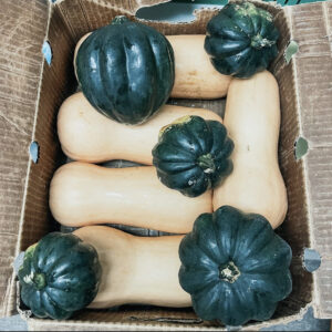 Feast Down East is one of the markets you can find cool season squash. Photo contributed by Feast Down East.