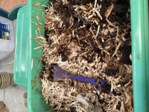 Heather Kelejian Sherdded paper as worm bedding