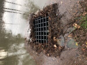 Stormwater entering a drainage grate transporting sediment and nutrients